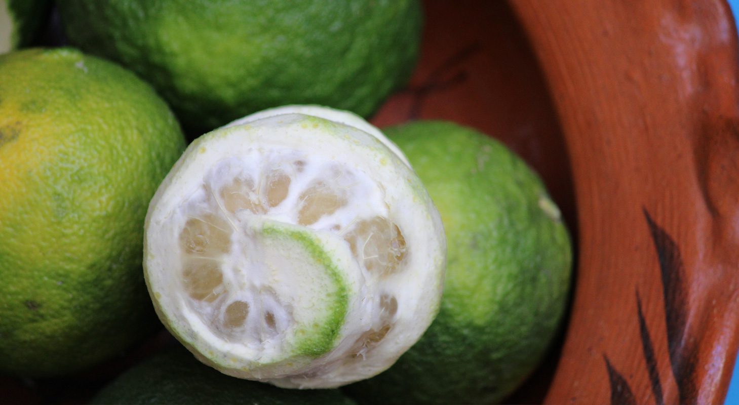 Historia Del Jugo De Naranja Agria Cocina Mexicana